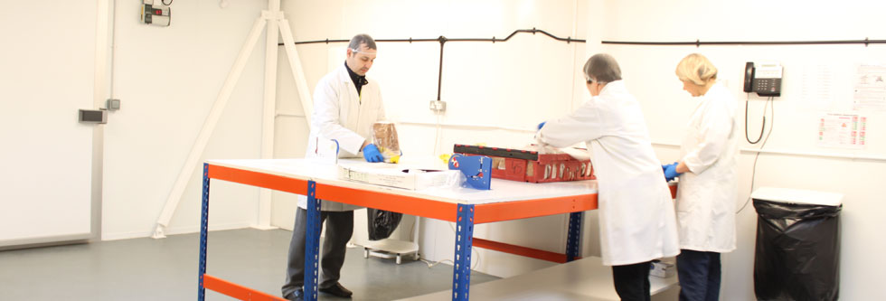 De-Branding and Labelling at Products Online De-Branding and Labelling at Products Online